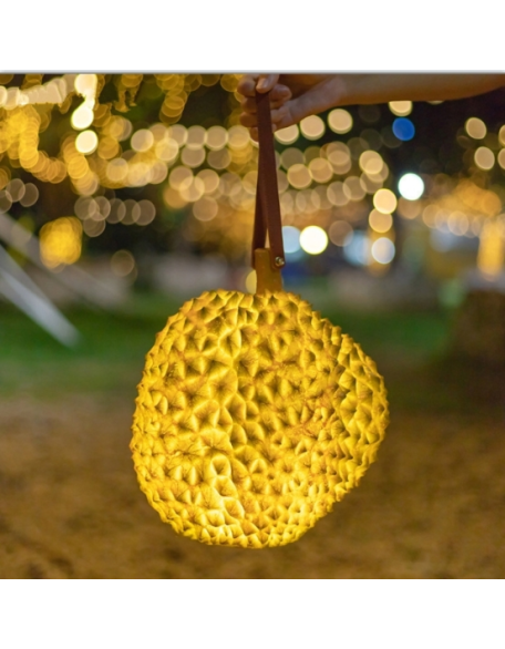 Outdoor simulation luminous durian portable hanging chandelier