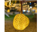 Outdoor simulation luminous durian portable hanging chandelier