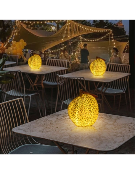 Outdoor simulation luminous durian portable hanging chandelier